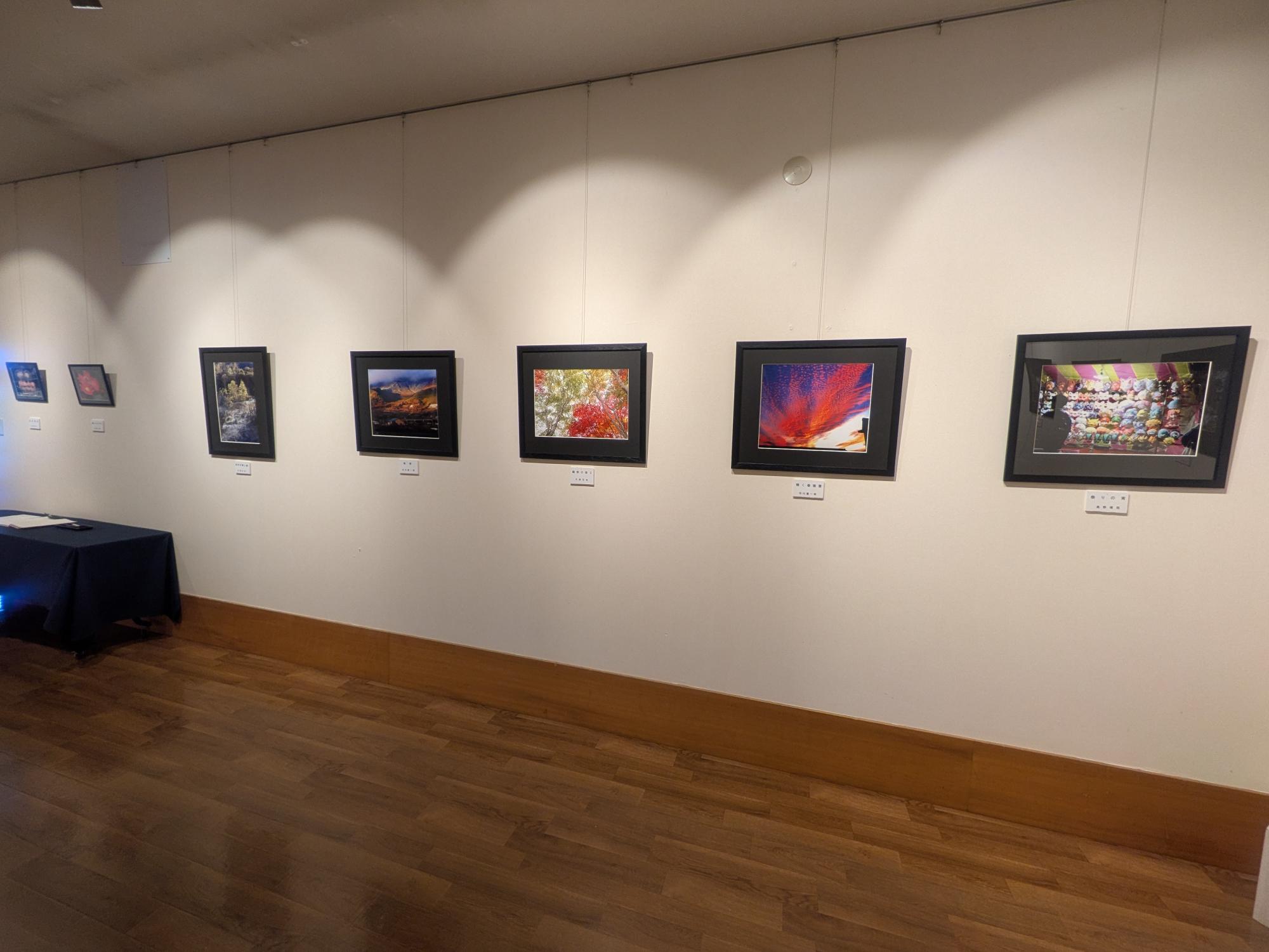 中野写真クラブ写真展
〜私のお気に入りⅡ〜 開催中です。

会期は4月19日（日）まで。

風景、瞬間、日常のひとコマ――
それぞれの“お気に入り”が、一枚一枚に丁寧に切り取られています。

同じ景色でも、撮る人が違えばこんなにも表情が変わる。
そんな発見と出会える展示です。

ふと足を止めて、ゆっくりと眺めたくなる作品ばかり。
ぜひお越しください✨️