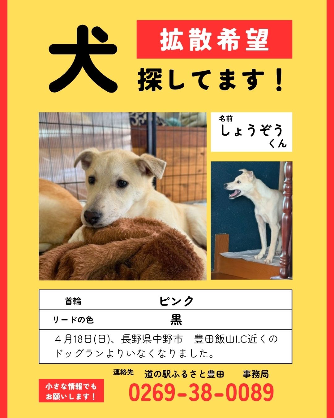 2026年4月18日（日）、長野県中野市「道の駅ふるさと豊田」近くのドッグランにて、犬が行方不明となりました。

現在も捜索を行っております。

お心当たりのある方、見かけた方は、無理に追いかけたりせず、下記までご連絡ください。

■発生日時
2026年4月18日（日）

■場所
道の駅ふるさと豊田 近くドッグラン（長野県中野市）

■連絡先
0269-38-0089

皆さまのご協力をお願い申し上げます。
小さな情報でも構いませんので、どうかお知らせください。