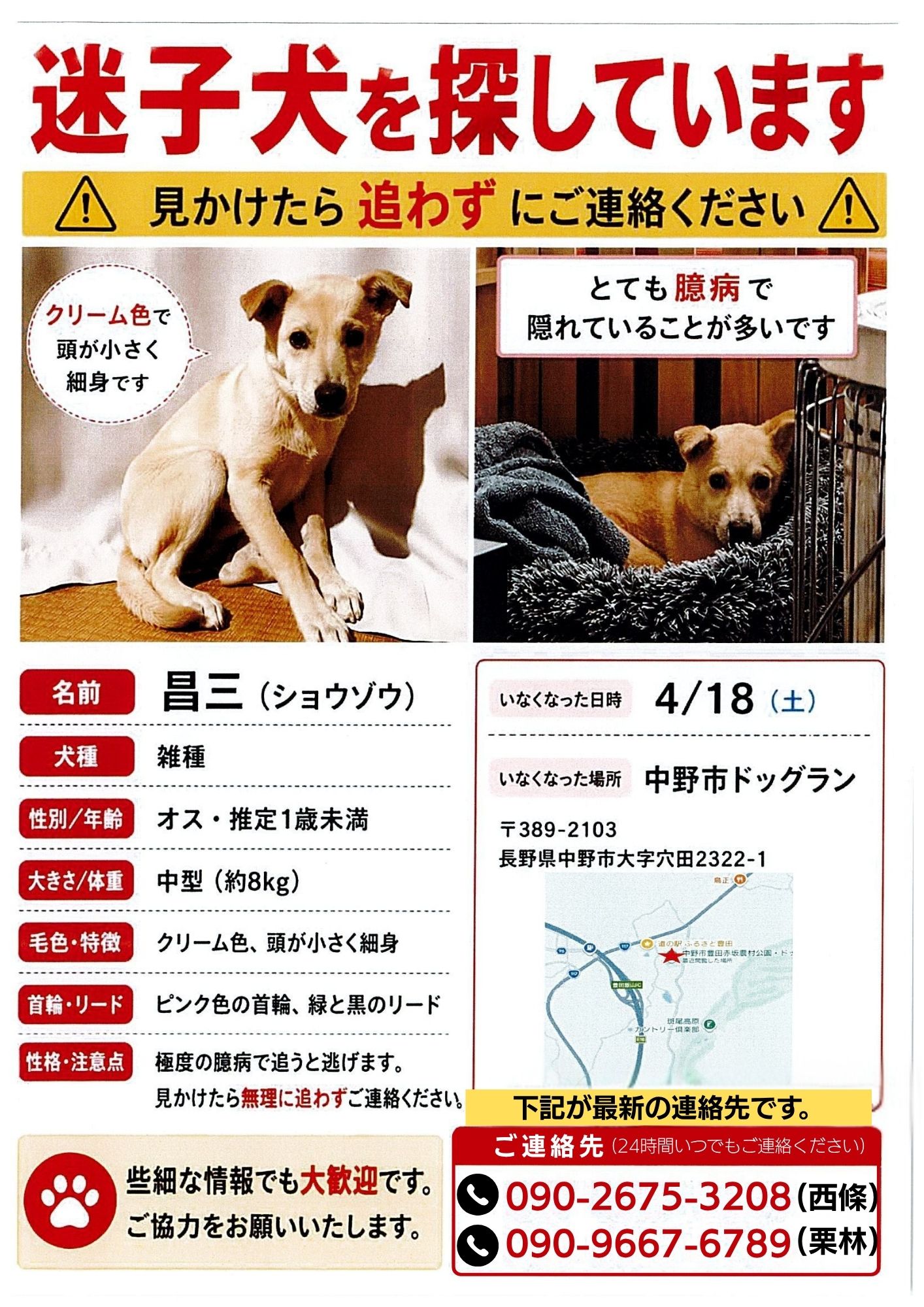 先日投稿した迷子犬について、
新たに詳しい情報をお知らせします。

これまでにいくつかの目撃情報をお寄せいただき、
ご協力いただいた皆さまありがとうございます。

現在も引き続き、目撃情報を探しています。

詳細は画像をご確認ください。

お心当たりのある方は、
お電話にてご連絡をお願いいたします。

拡散のご協力もよろしくお願いいたします。

1日でも早く飼い主さんの元へ戻れますように。
