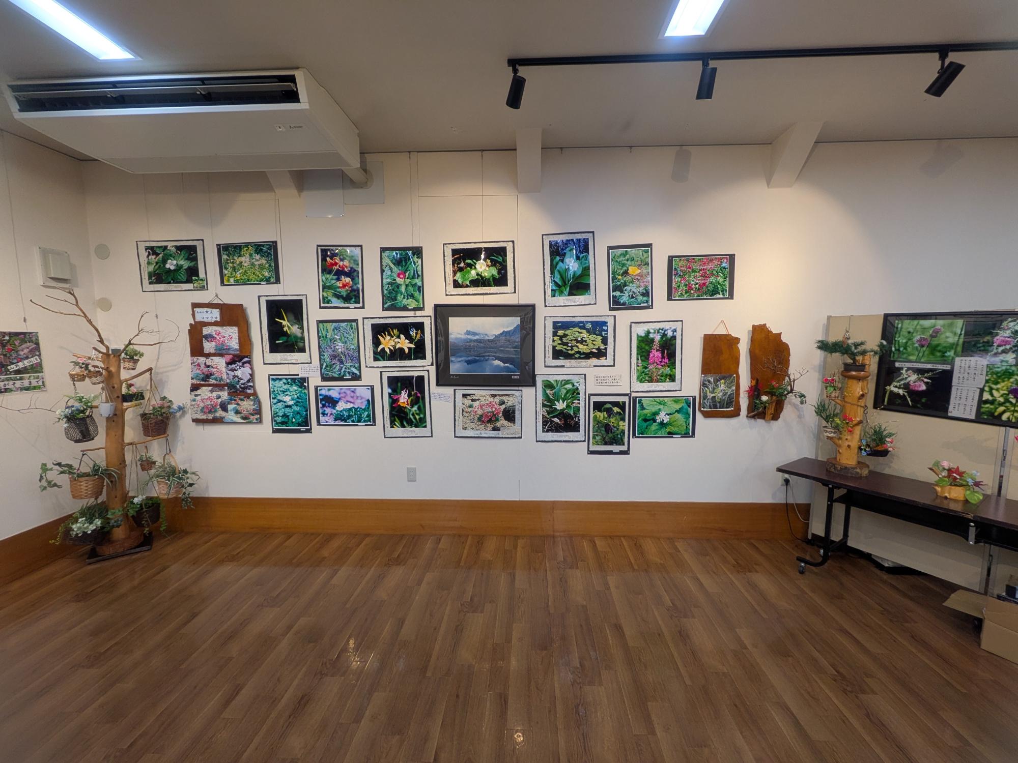 《 江口君男写真展 乱れ咲く山野草 開催中 》
山の中や道端にひっそりと咲く、小さな山野草たち。
普段は見過ごしてしまうような花にも、
近づいてよく見ると、それぞれに表情や物語があります。
長年にわたり山野草を撮り続けてきた
江口君男さんの作品には、
厳しい自然の中で懸命に咲く生命の力強さと、
小さな花たちへの優しいまなざしが写し出されています。
会場では写真作品のほか、
過去の展示で添えられた説明文も自由にお持ち帰りいただけます。
ぜひゆっくりと作品をご覧いただき、
山野草たちが語りかけてくる言葉に耳を傾けてみてください。
会期:7月22日(水)まで
中野陣屋・県庁記念館
皆さまのお越しをお待ちしております。